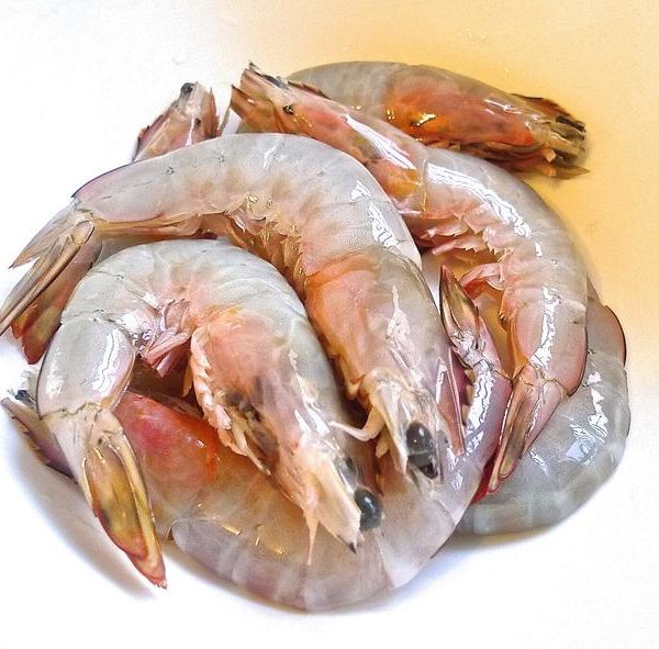 Prawns